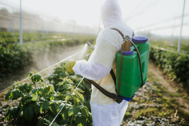 Professional Pest Control in Lamar, SC